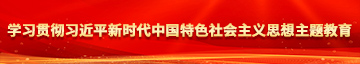 艹人的视频学习贯彻习近平新时代中国特色社会主义思想主题教育